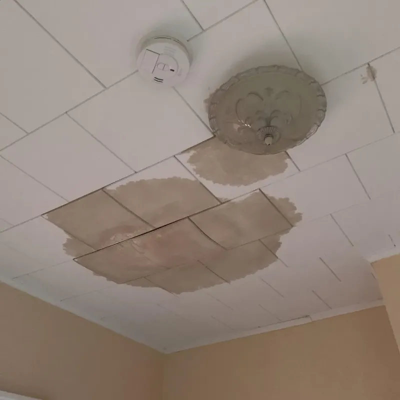 Ceiling Water Damage Repair in Flying Hills, PA