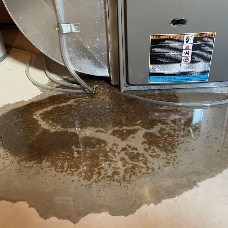 Pipe Burst and Leak Restoration in Flying Hills, PA