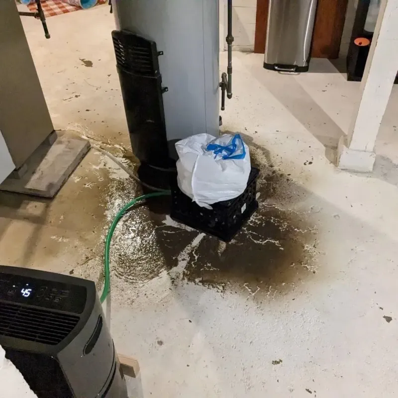 Sewage Backup Cleanup Service in Flying Hills, PA